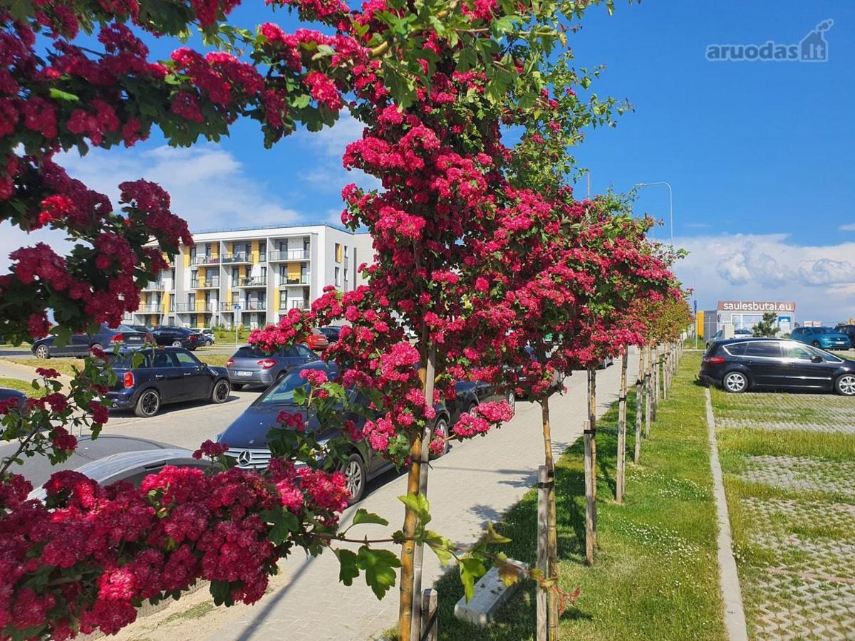 New Studio Free Parking Klaipeda Exterior photo